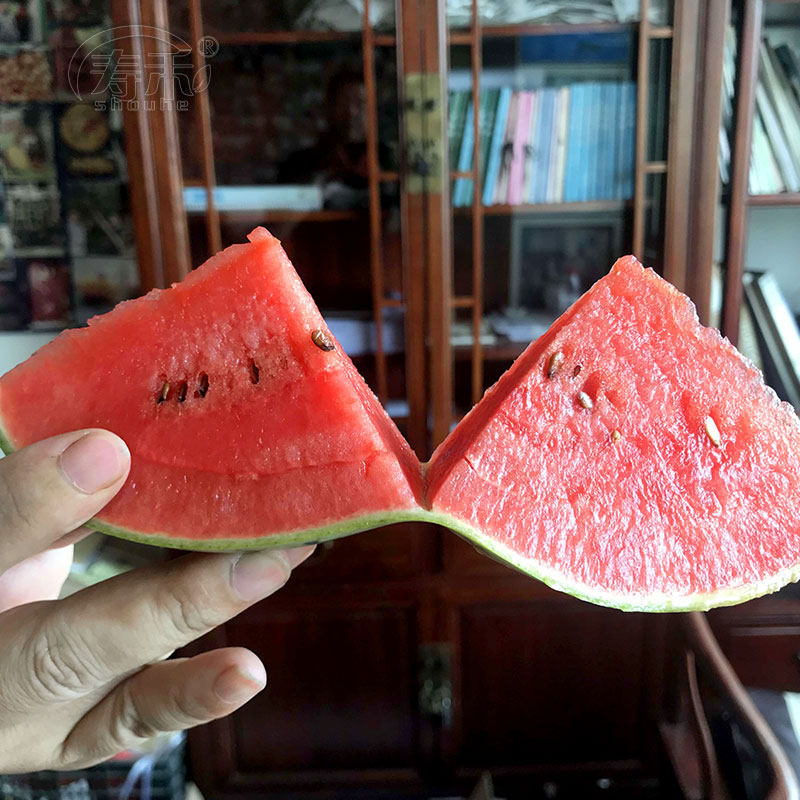 小糖丸西瓜种子种籽全美2k4k早熟薄皮超甜高产南方四季孑小型种植,淘宝优惠券,粉丝福利购,淘宝优惠卷