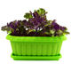 Long-shaped flower planting pot with tray for injection molding