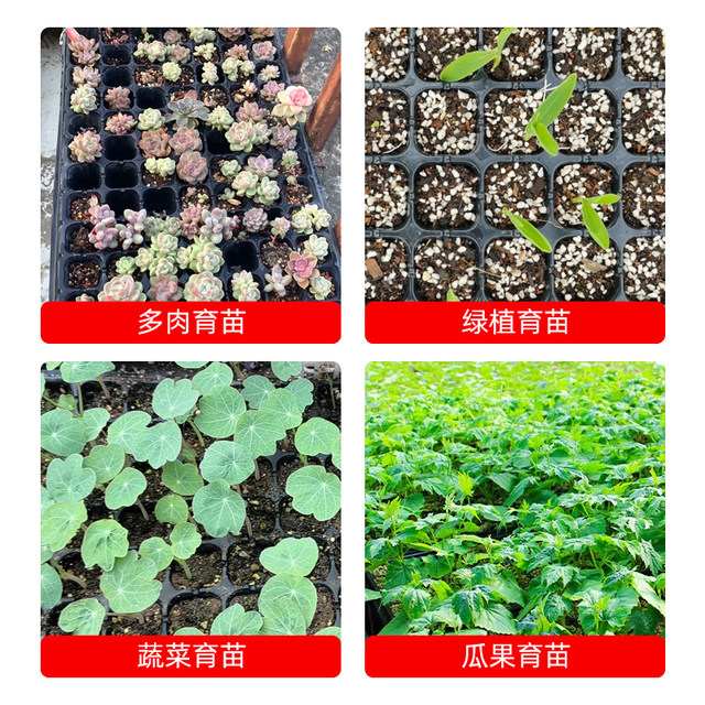 Seedling tray, hole tray, special plastic tray for vegetable seedlings, multifunctional vegetable seedling planting cup, artifact, large nutritional bowl