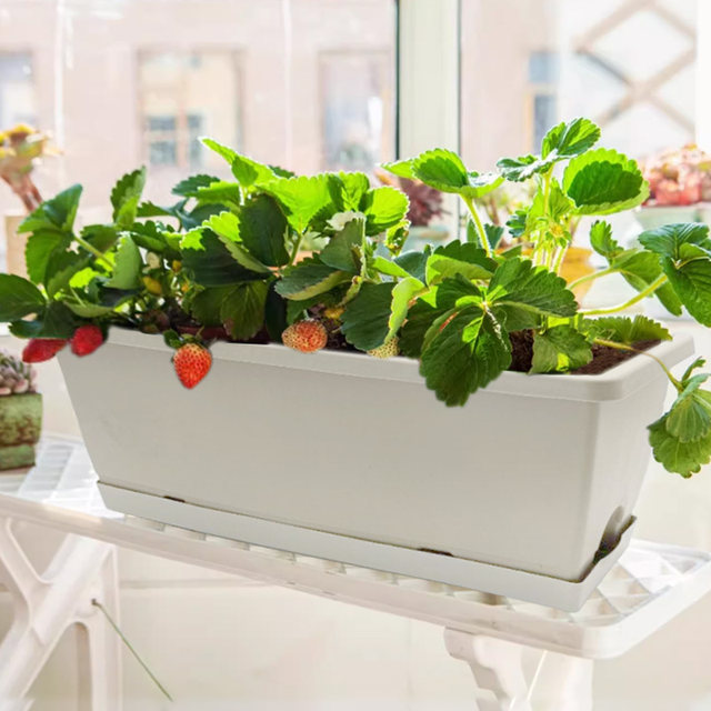 Balcony strawberry planting pot for home use
