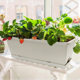 Balcony strawberry planting pot for home use