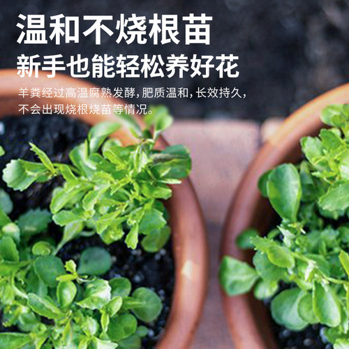 发酵腐熟羊粪肥颗粒种菜用有机肥料蔬菜花卉专用农家肥羊屎鸡粪肥 - 图1