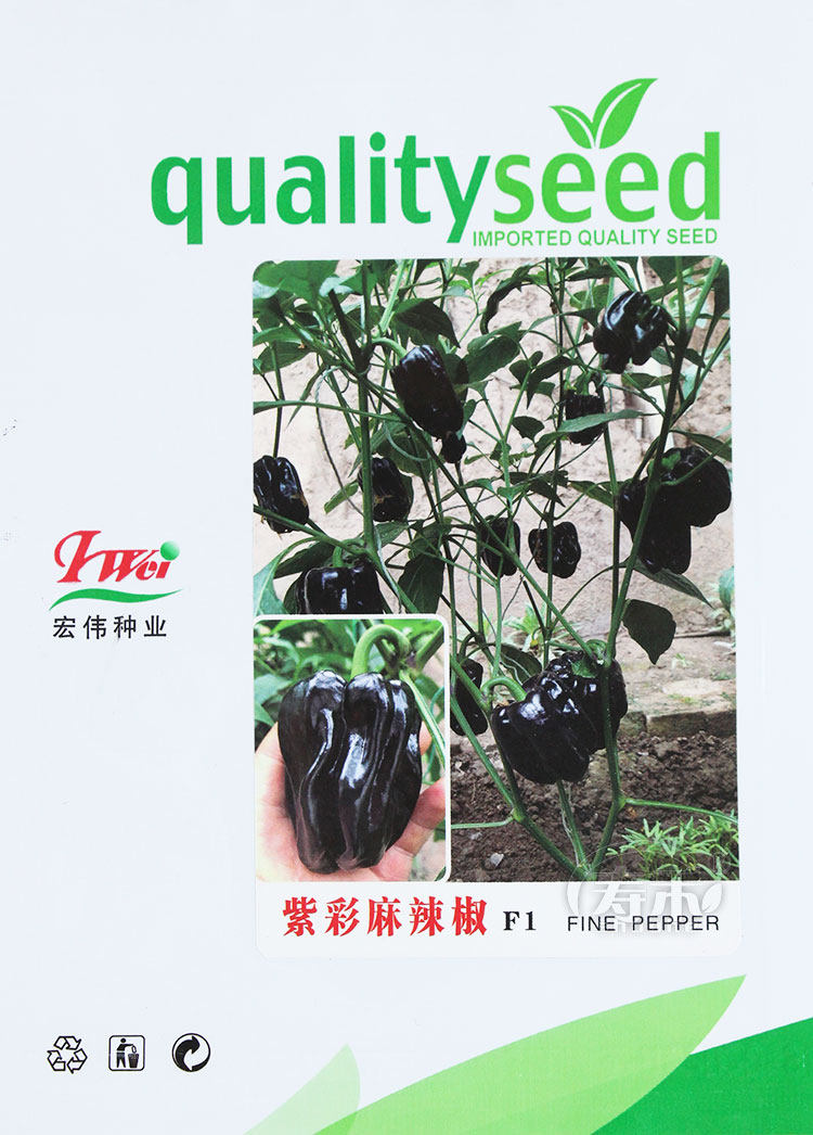 皱皮椒种子薄皮虎皮辣椒麻辣椒种籽中辣四季种植盆栽籽种蔬菜孑,淘宝优惠券,粉丝福利购,淘宝优惠卷