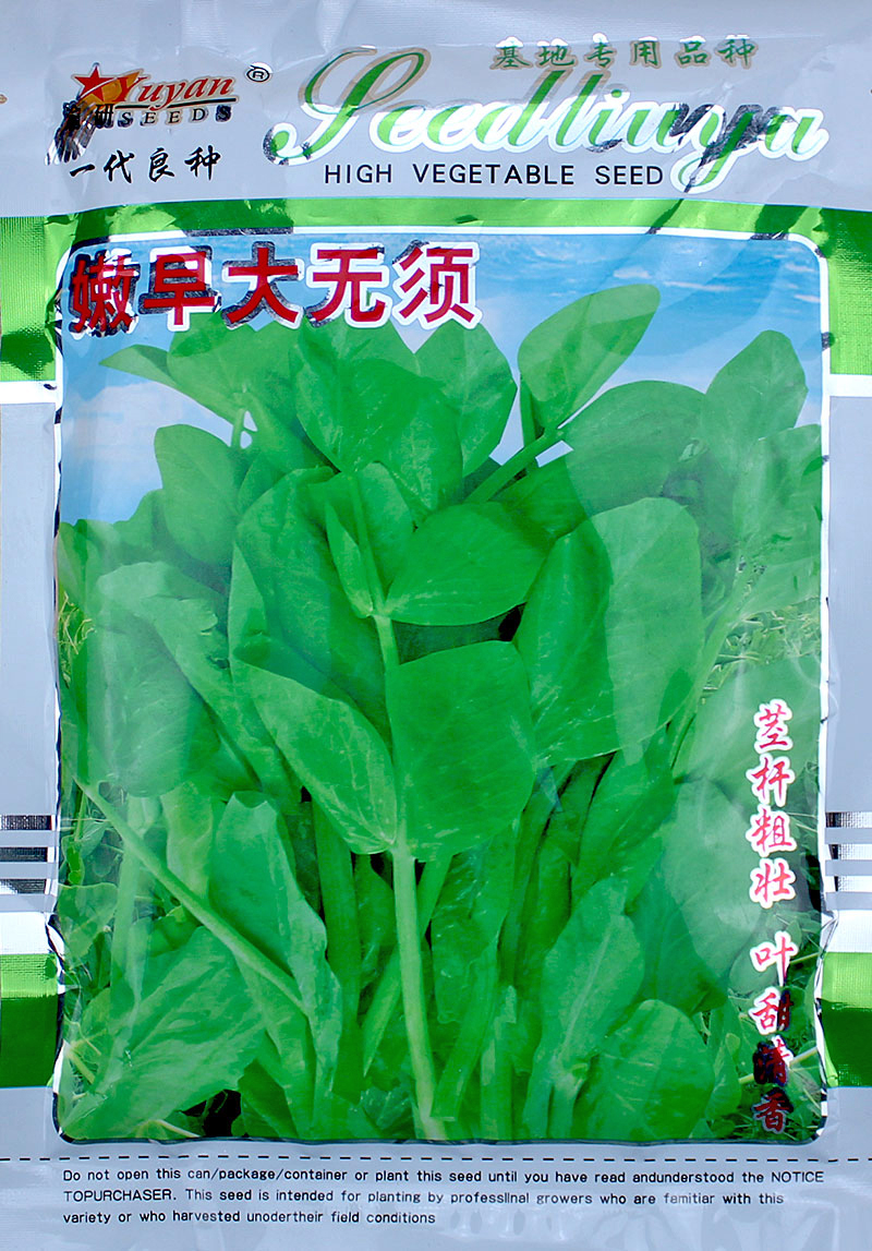 无须豌豆苗种子豌豆种籽尖芽苗菜摘孑豌豆种子的碗豆种种植盆苗种 - 图0