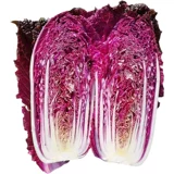 Семена фиолетовой капусты четыре сезона фиолетовые маленькие красные семена овощных семян бело -ла -лава -могила пурпурные нефриты посадка