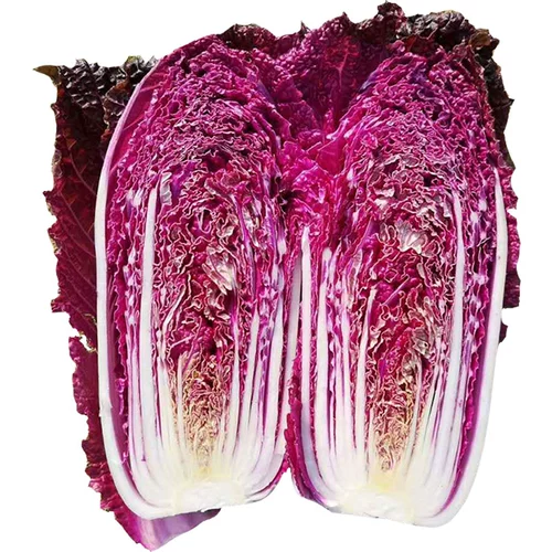 Семена фиолетовой капусты четыре сезона фиолетовые маленькие красные семена овощных семян бело -ла -лава -могила пурпурные нефриты посадка