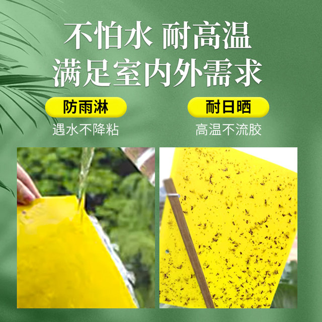 Household yellow sticky insect board double-sided strong