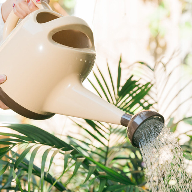 Gardening watering can for home use for watering flowers and vegetables