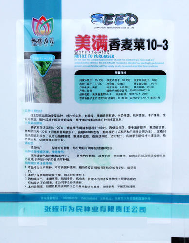 大棵型油麦菜种子香麦菜菜籽四季种籽蔬菜孑农家菜种菜苗籽种大全 - 图1