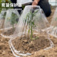 Seedling protection cover reusable vegetable special square plant seedling protection cover seedlings to prevent cold, birds and insects