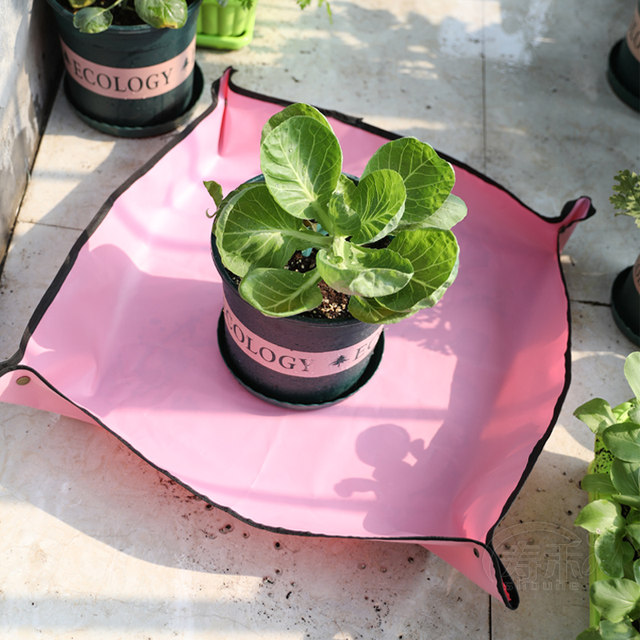 Change pots and soil mats, plant flowers and raise flowers, replace soil mats with Shouhe