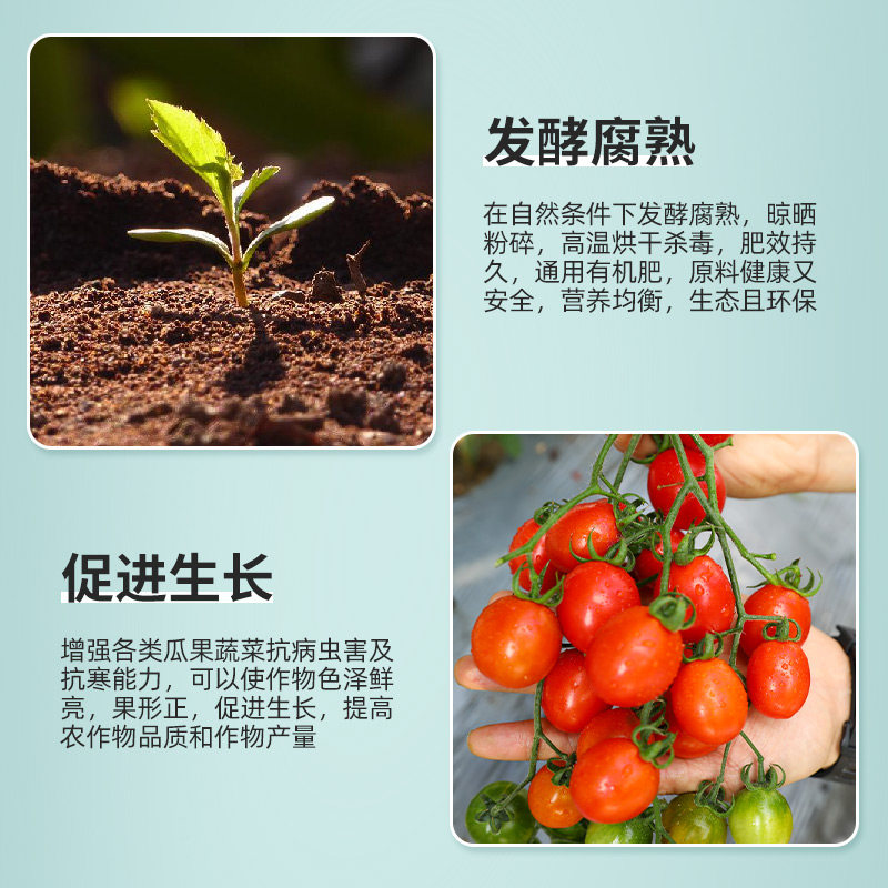 豆粕有机肥花肥料腐熟生物饼肥底肥种菜蔬菜花卉种蔬菜专用肥通用,淘宝优惠券,粉丝福利购,淘宝优惠卷