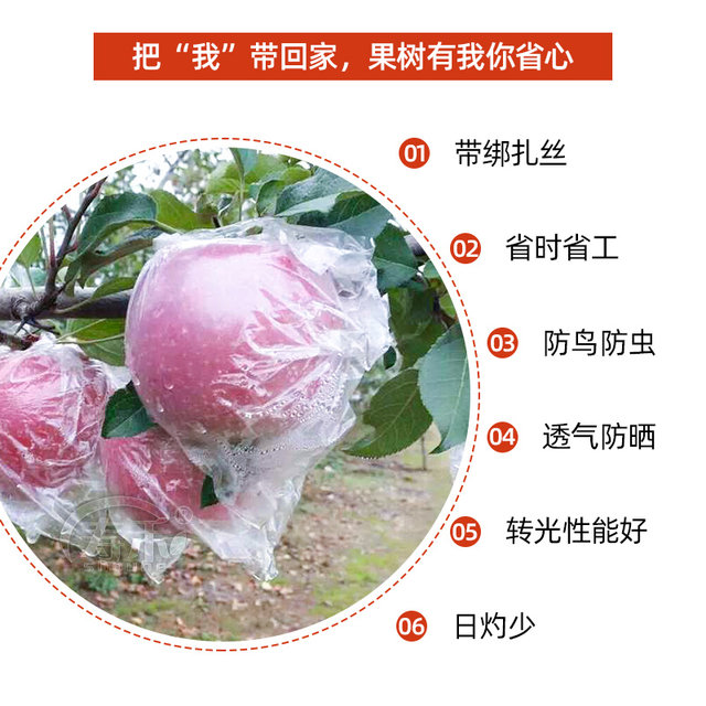 Special plastic waterproof strap for apple bagging