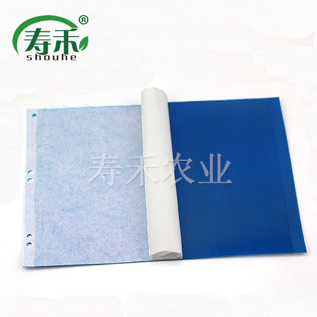 Yellow board greenhouse orchard home indoor