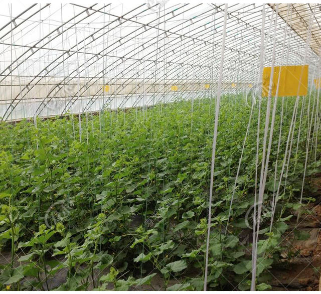 Greenhouse hanging rope line vegetable hanging vine rope special accessories