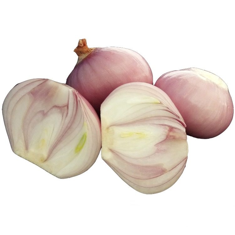 毛葱东北特产鬼子葱新鲜圆葱大红葱头农家笨洋葱小圆葱生吃干毛葱,淘宝优惠券,粉丝福利购,淘宝优惠卷