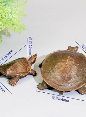 古玩铜器收藏仿古实心黄铜富甲一方乌龟摆件家居装饰品