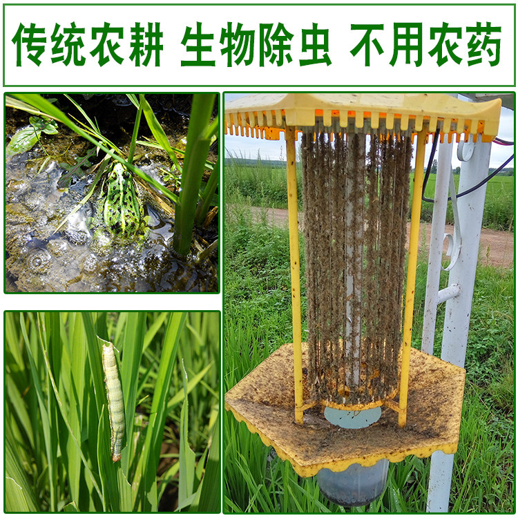 2025年新米五常大米原粮稻花香2号东北大米拉林河水粳米好米10斤,淘宝优惠券,粉丝福利购,淘宝优惠卷