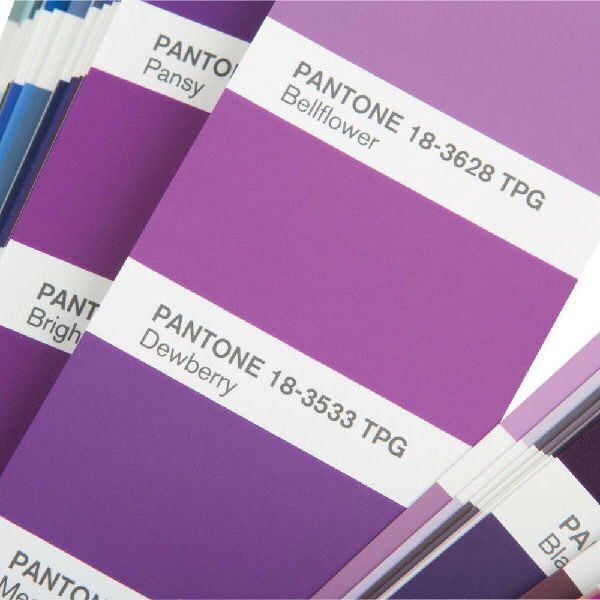 正品PANTONE FHIP110A 国际标准彩潘通色卡新增315色TPX TPG色卡 - 图3