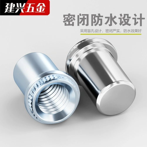 Водонепроницаемая заклепочная гайка под давлением BS304, нержавеющая сталь, глухое отверстие, заклепочная гайка под давлением, герметичная шпилька с колонной M3M4M5M6M8