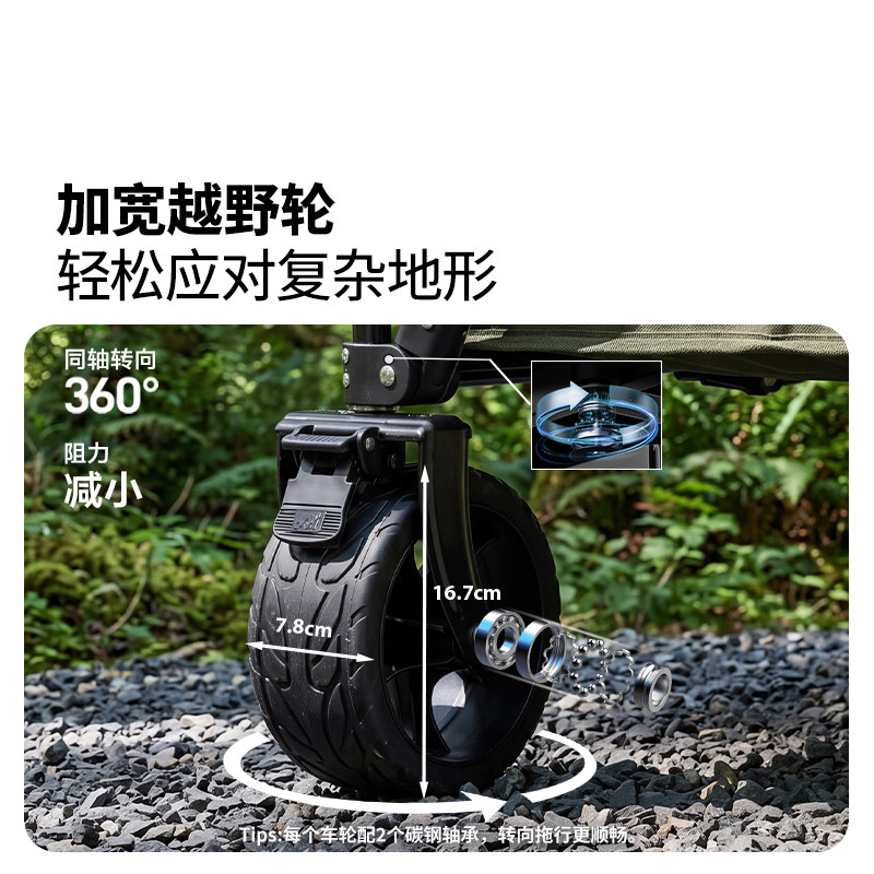 图 5