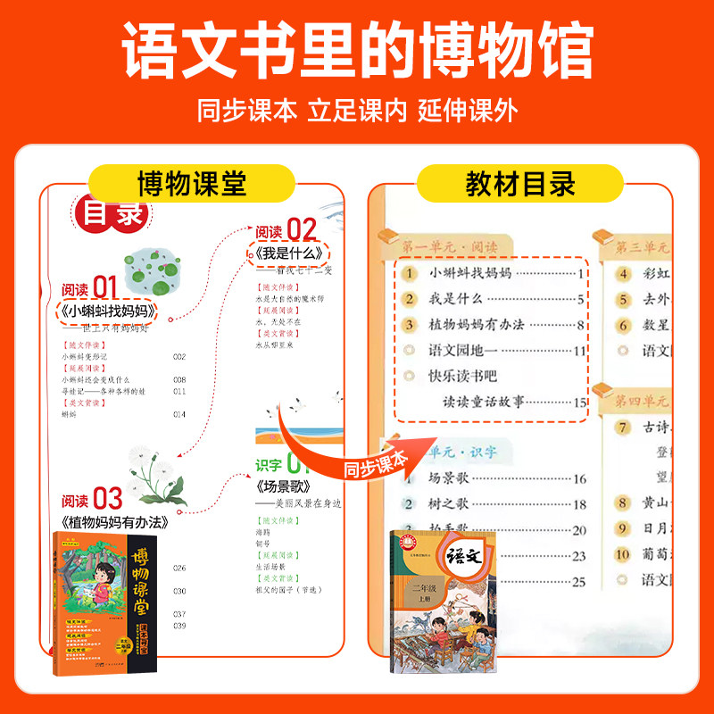2026秋阳光同学博物课堂一二三四五六年级下册小学生语文同步课本教材课外阅读理解专项训练大百科全书文学常识写作文素材积累上册
