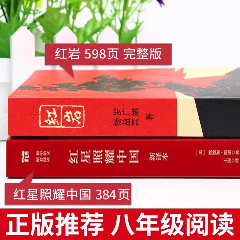经典常谈朱自清和钢铁是怎样炼成的初中正版原著八年级下册必读课外书人民教育出版社人教版配套课外书读物教材语文阅读傅雷家书