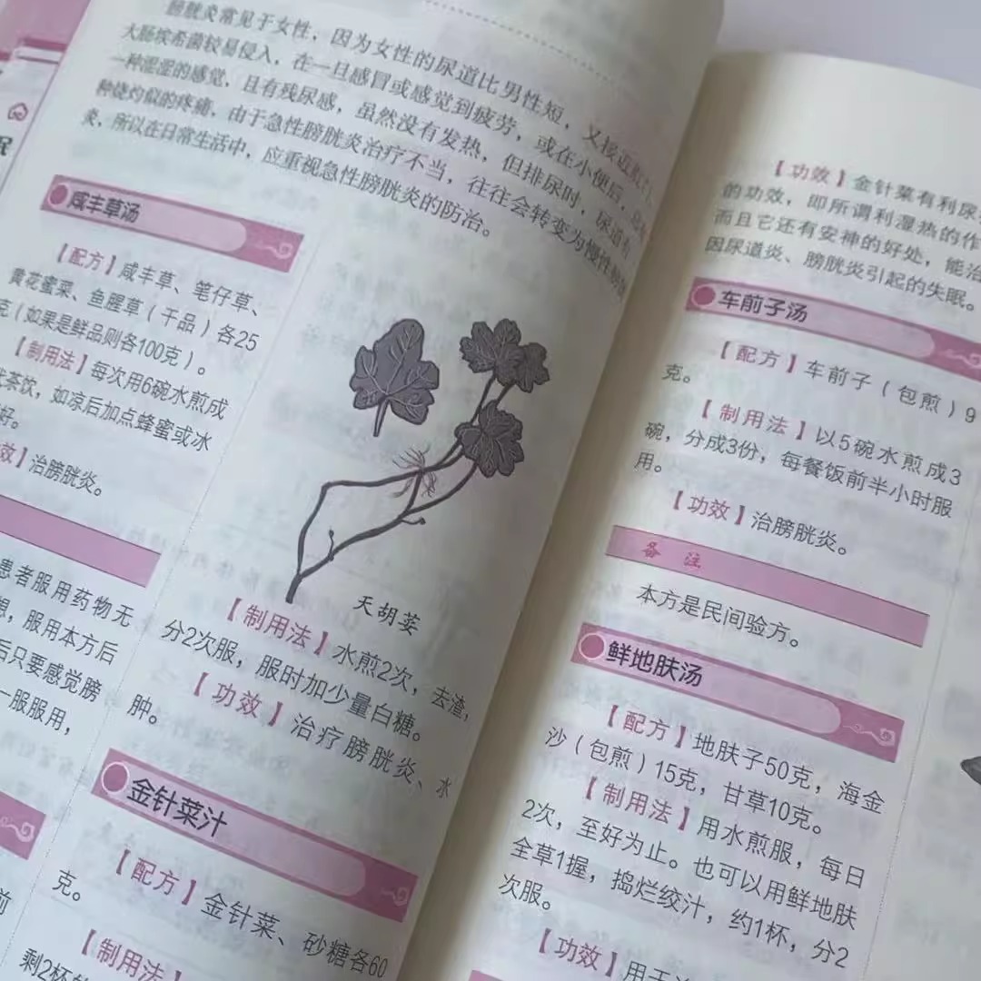 孟建平准备升级暑假衔接一升二升三升四升五升六年级下册语文数学英语科学全套人教版暑假衔接小升初教材作业阅读口算天天练