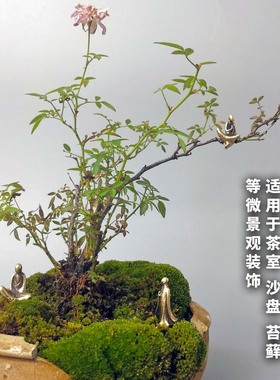 铜合金装饰中国风室内