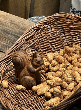 复古铁锈铸铁松鼠摆件 日式杂货桌面装饰 阳台花盆园艺杂货小动物