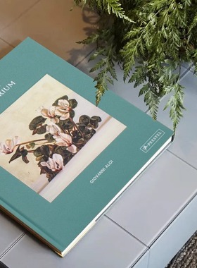 静物标本样板房简约现代英文真书