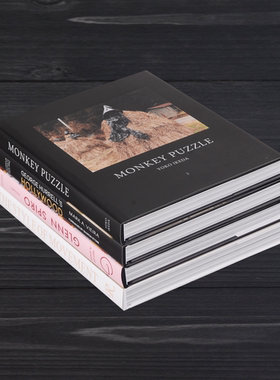 简约现代可翻阅样板房英文装饰书