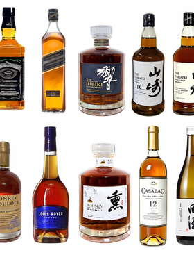 洋酒清酒威士忌样板间装饰酒摆件