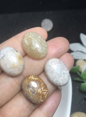 天然珊瑚玉菊花玉椭圆形戒面裸石蛋面镶嵌绕线戒指吊坠一物一图