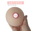 Breast model for lactation training training aids