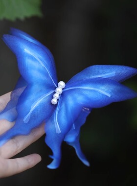 清汉女真丝烫花森系仙美新中式国风蝴蝶花朵发夹古风汉服头饰盘发