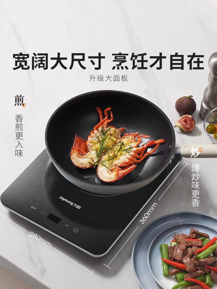  九阳睿智扬帆电磁炉/陶炉