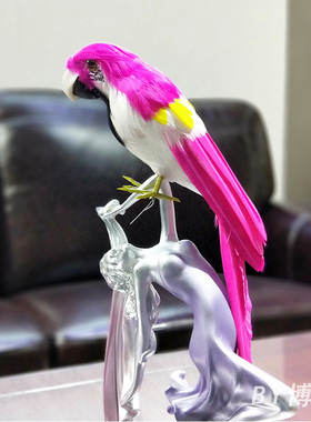 金刚鹦鹉鸟笼摄影道具手工艺品