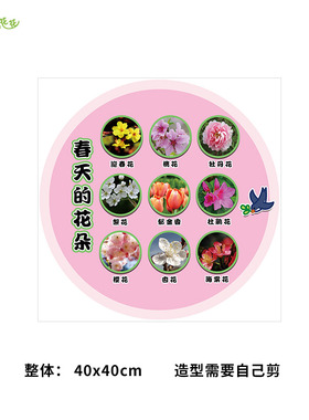 幼儿园你好呀春天主题墙环创小学黑板报花种子结构节气海报贴画
