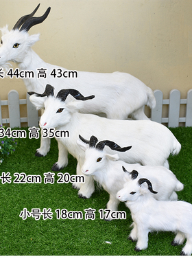 仿真橱窗儿童动物模型标本