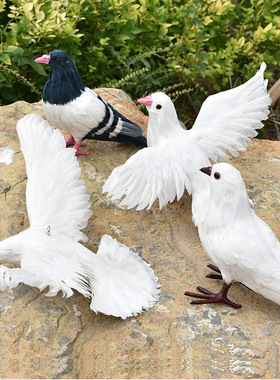 仿真模型和平鸽婚礼道具动物标本