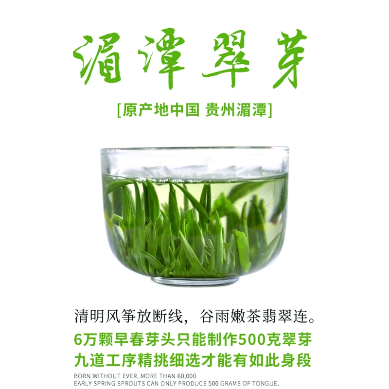 2024年新茶贵州绿茶100克明前清针特级茶叶清香雀舌湄潭翠芽独芽 - 图1