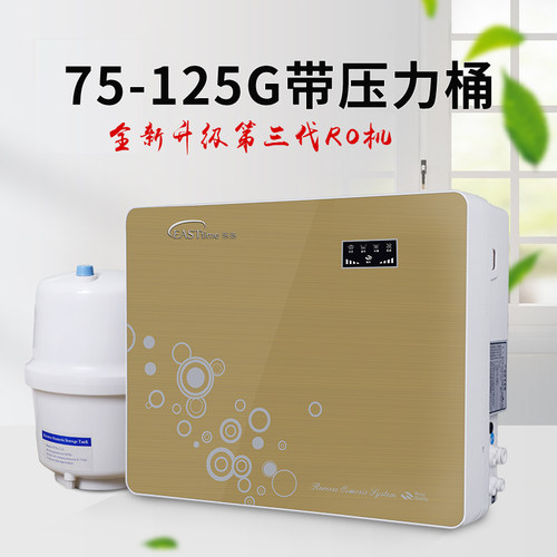东丞箱式净水器家用125G纯水机RO反渗透75膜过滤600G厨房400G除垢 - 图2