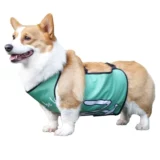 Дудоу, водонепроницаемый дождевик, бандаж пупочный, подходит для подростков, анти-грязь