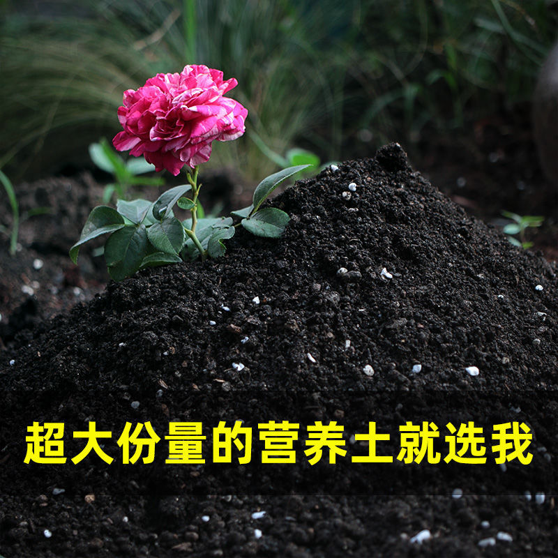 营养土养花通用种菜专用土壤花土蔬菜种植土种花椰砖家用花卉肥料 - 图1