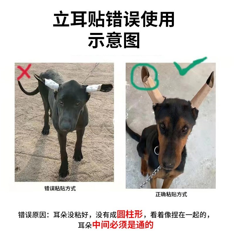 阿拉斯加狗狗专用立耳贴狗狗耳朵辅助神器矫正支架幼犬免胶水中药