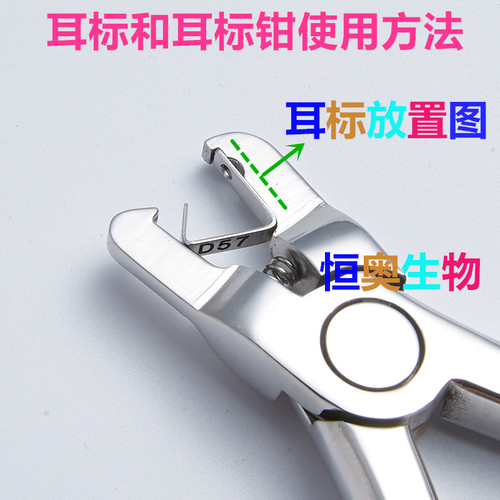 大小鼠耳号钳耳标钳小鼠耳标钳耳号钳双弹簧更省力促销甩卖耳钉钳 - 图2