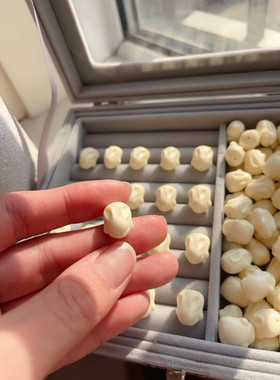 象牙果兔子通孔散珠隔珠