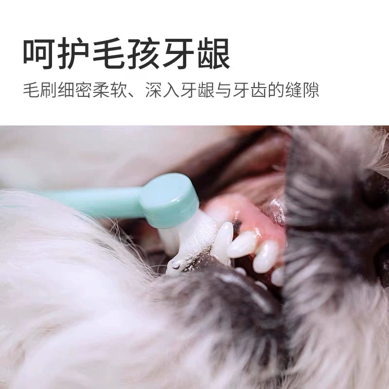 糯米家 牙刷狗狗猫咪万毛宠物刷牙清洁牙齿除口臭去牙结石小型犬 - 图2