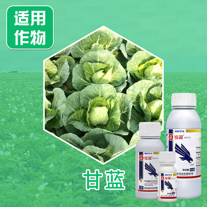 冠龙锐翼24%虫螨腈甘蓝甜菜夜蛾小菜蛾吊丝虫蔬菜蓟马农药杀虫剂